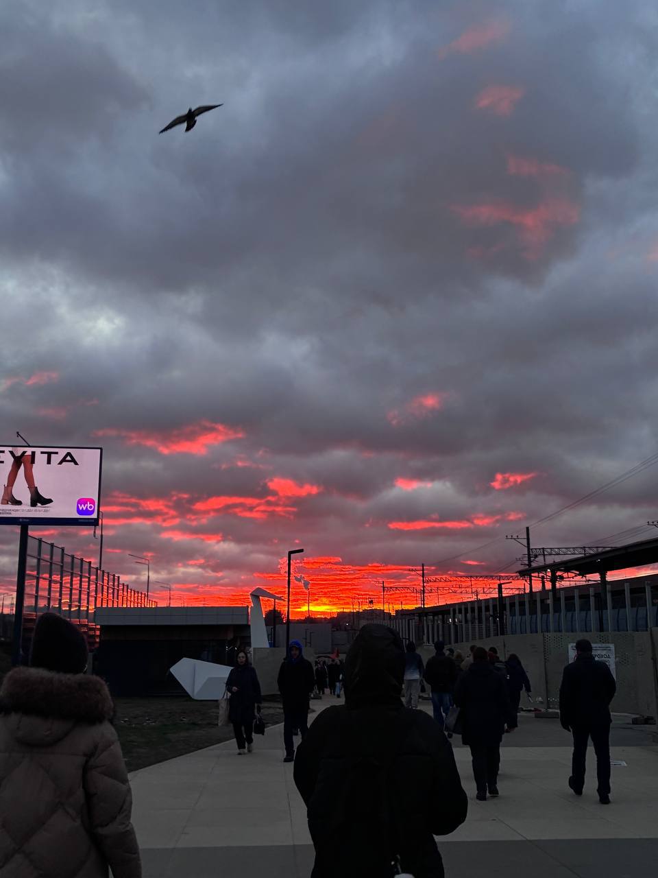 Московское небо сегодня в серорозовых тонах Московское небо сегодня в серорозовых тонах