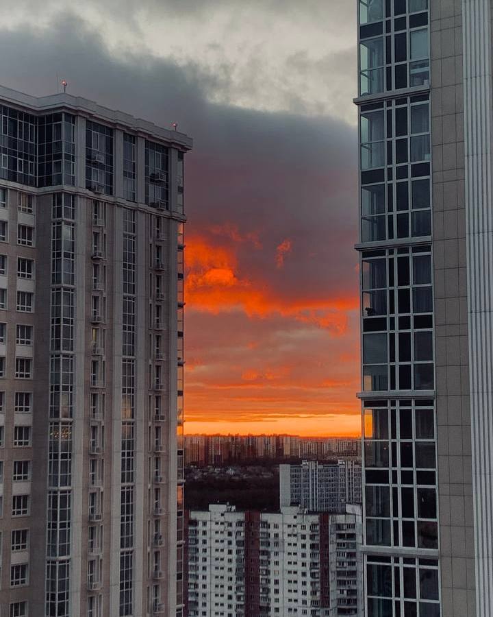 Московское небо сегодня в серорозовых тонах Московское небо сегодня в серорозовых тонах