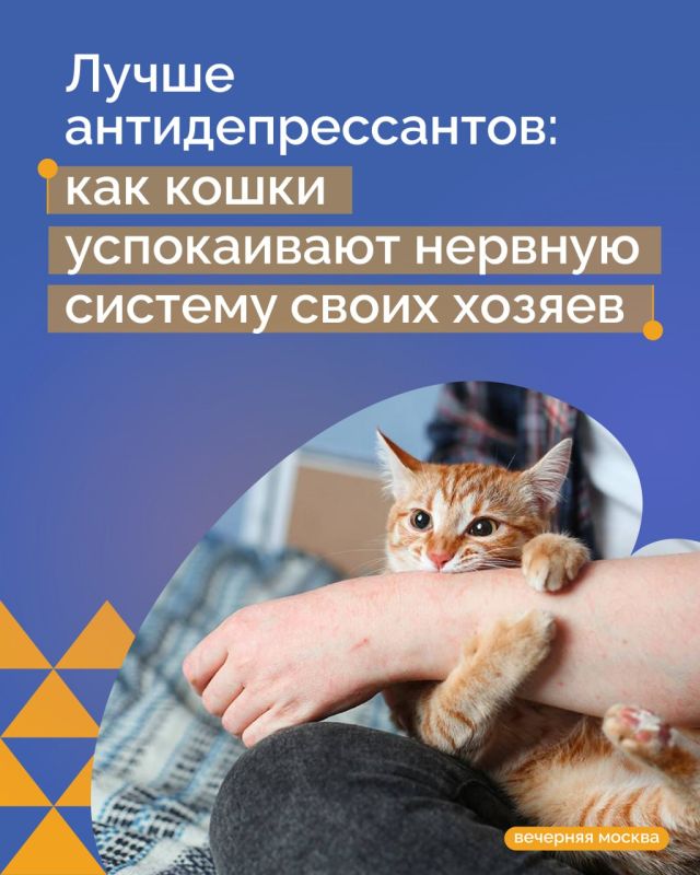 �����-������ ��������, ��� ����� ��������� �����, � ��� ����� ���������� ����? ������� ������������, � ������ ���������� ������