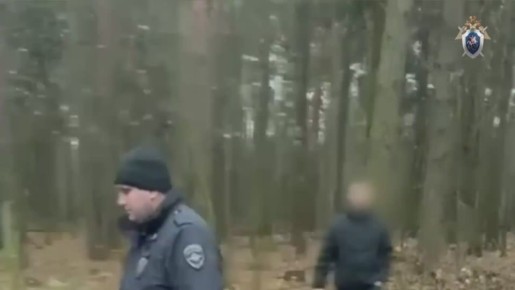 В Подмосковье задержан маньяк, который похищал и убивал нянь