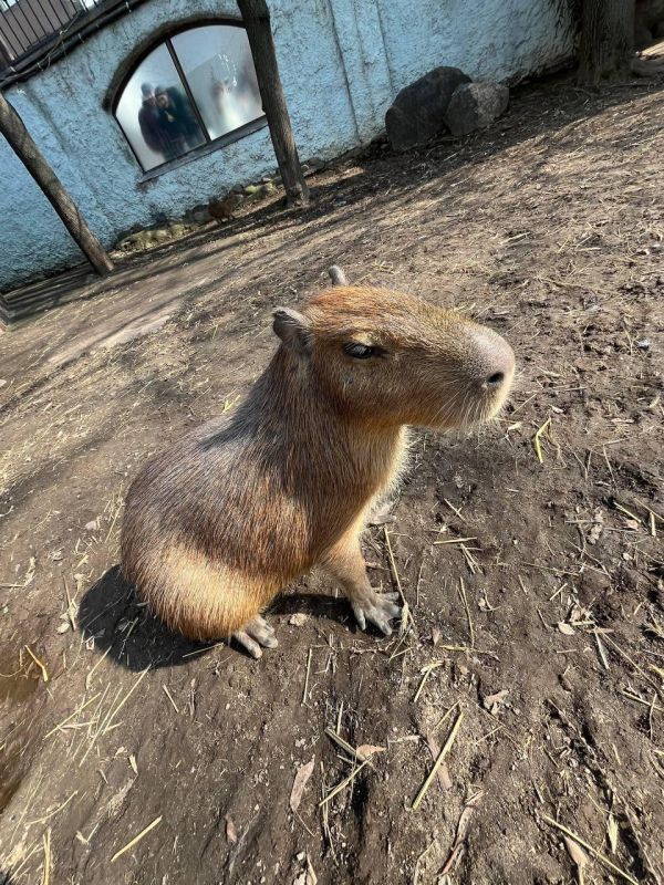 ������ �� ������ ���: ����� �� 360 �������� �������� �� ����������� ��������!