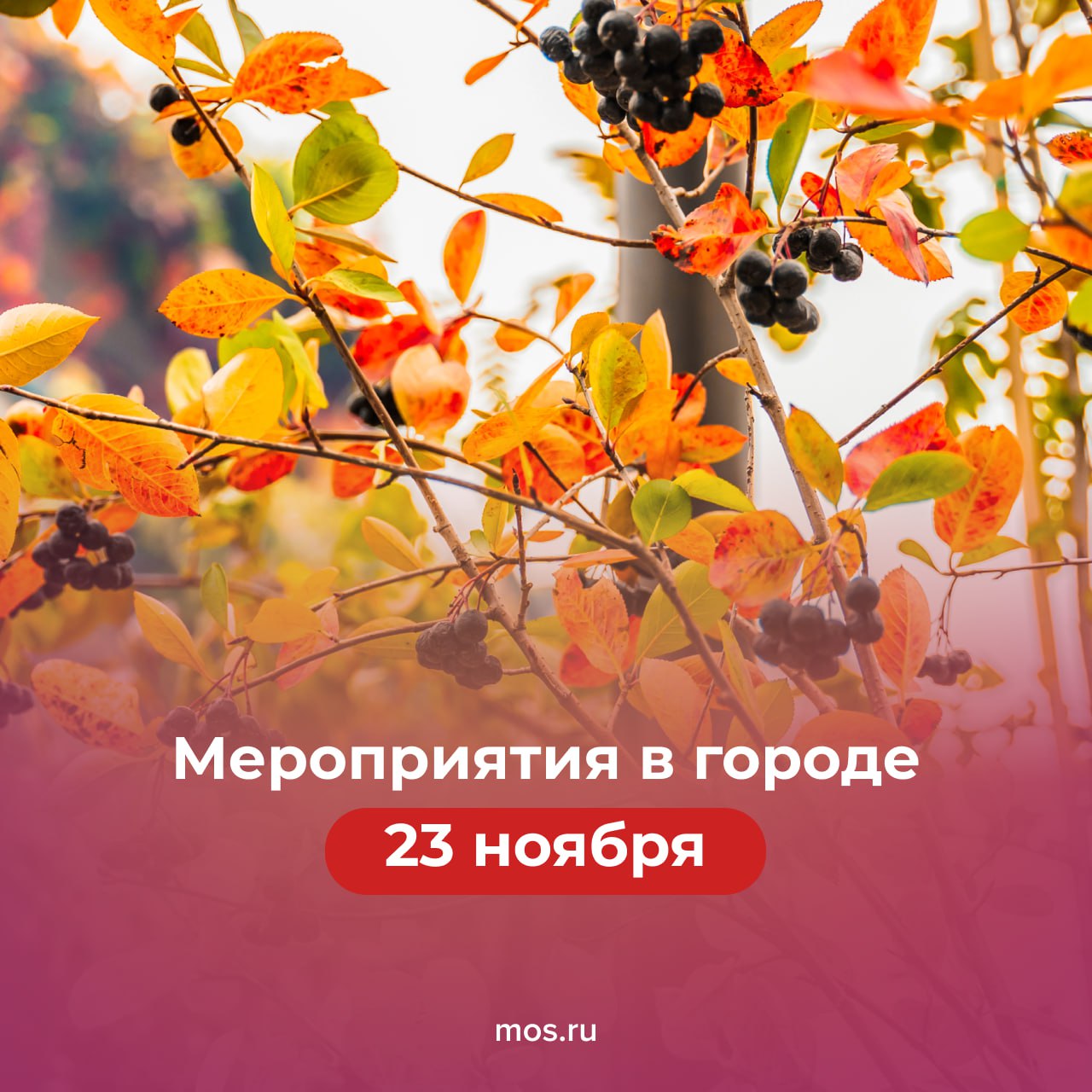 Специально для вас подборка, чем заняться в городе сегодня!