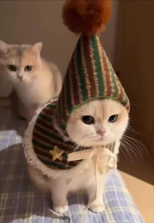 38    !  ,  ,       ,   ,    