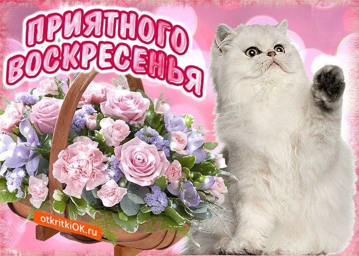 ��, ����� �������� ���������� ����!