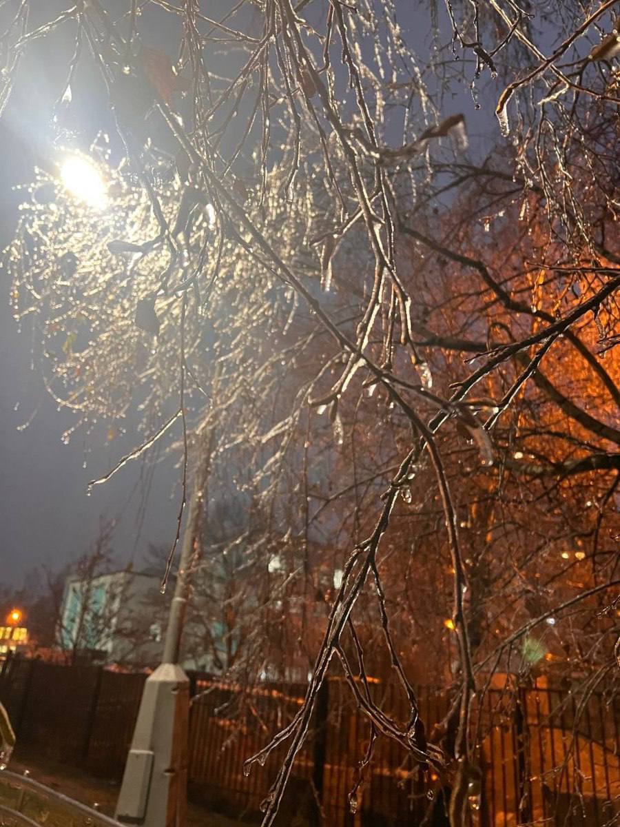 Ледяной плен: Московский регион сковало коркой льда Ледяной плен: Московский регион сковало коркой льда