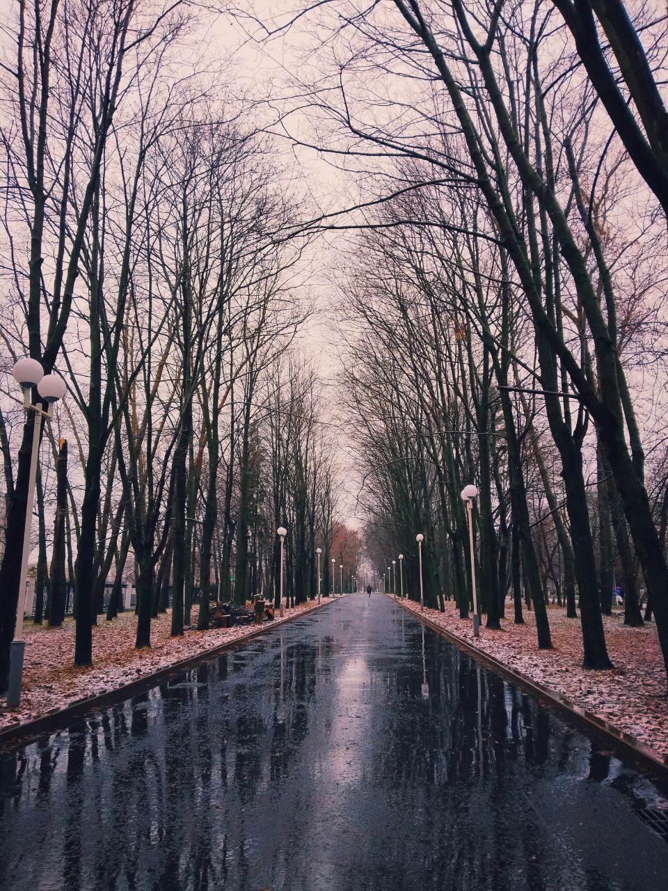 Ледяной плен: Московский регион сковало коркой льда