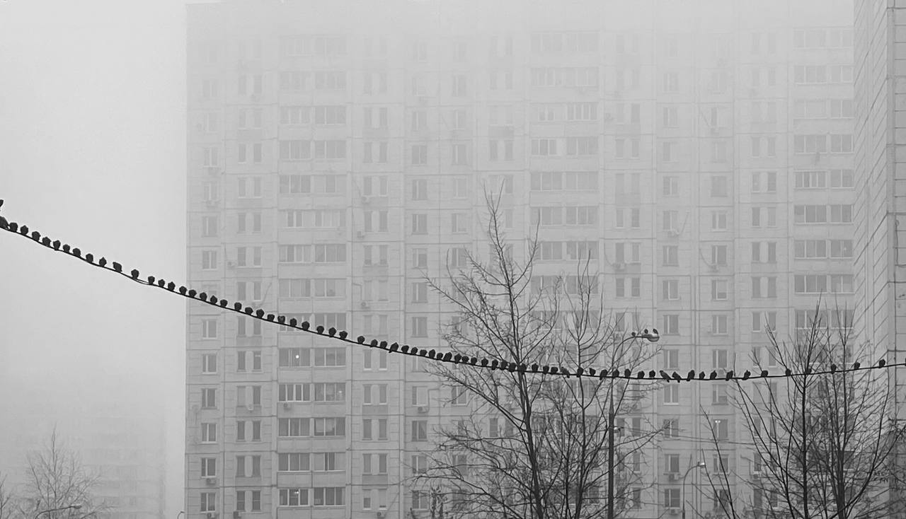 В этот понедельник Москва и Подмосковье выглядят по-особенному загадочно В этот понедельник Москва и Подмосковье выглядят по-особенному загадочно