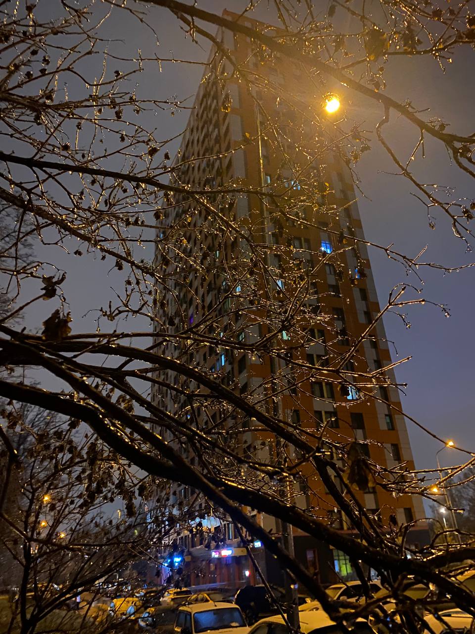 Ледяной плен: Московский регион сковало коркой льда Ледяной плен: Московский регион сковало коркой льда