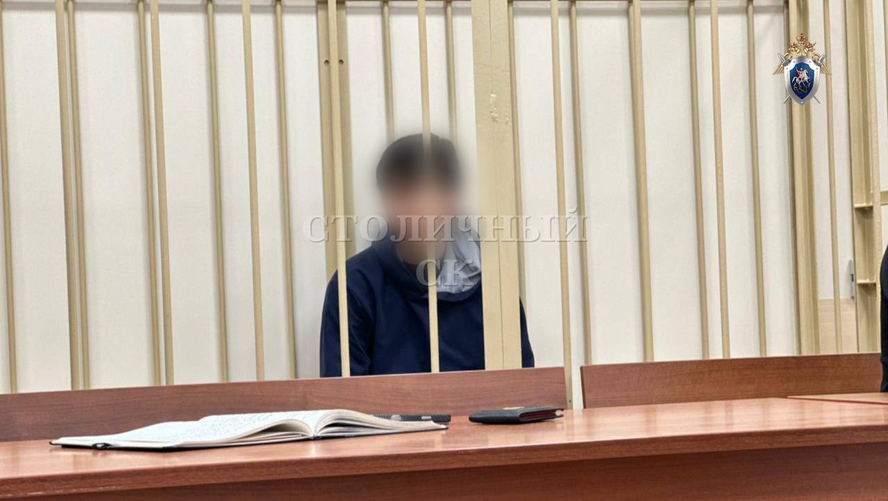 По ходатайству следователей столичного СК обвиняемому в покушении на убийство и посягательстве на жизнь сотрудника правоохранительного органа избрана мера пресечения в виде заключения под стражу