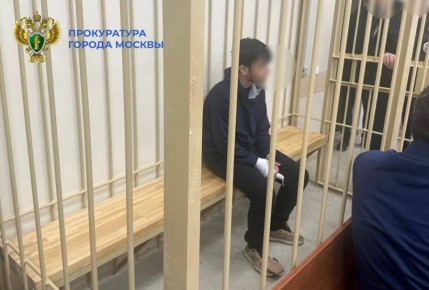 Мигранта-подростка, напавшего на охранника и полицейских в столичном ТЦ, заключили под стражу