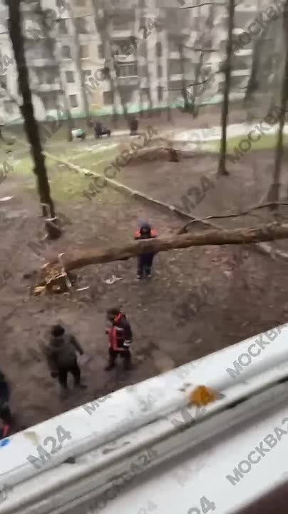      ,         ,  29,  2.     !