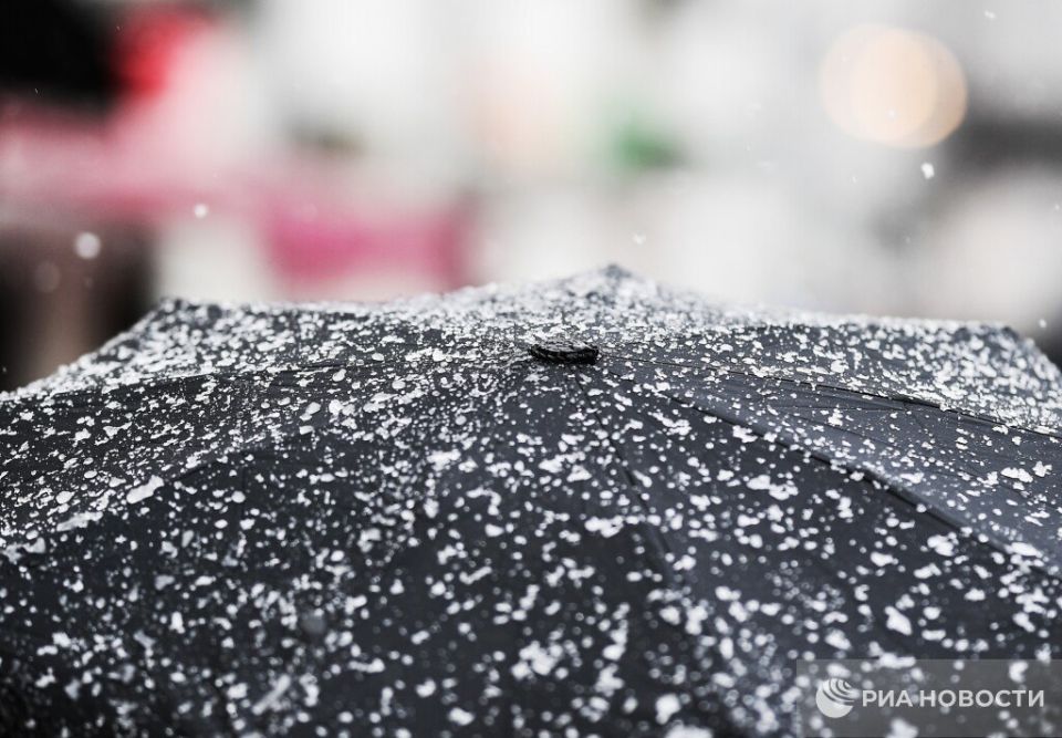 ������ ����, ����� � �� +3 ��������� ������� � ������