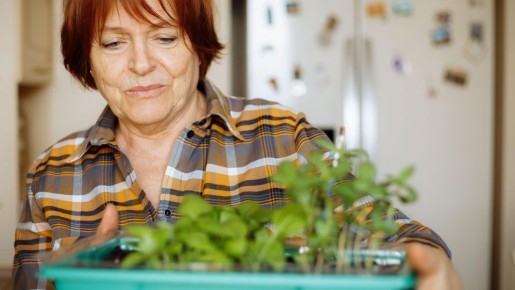 Никакой рассады вам не видать: эти популярные добавки «убьют» все всходы