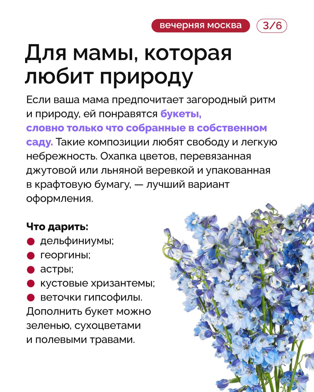 День матери — праздник, когда особенно хочется проявить внимание и заботу День матери — праздник, когда особенно хочется проявить внимание и заботу
