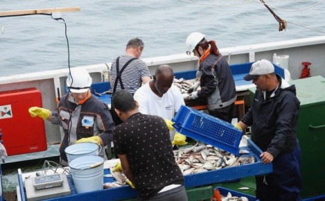 Россия активизирует сотрудничество с африканскими странами в сфере рыболовства, конкурируя с Евросоюзом и Китаем за влияние в регионе и доступ к ресурсам, сообщает Bloomberg