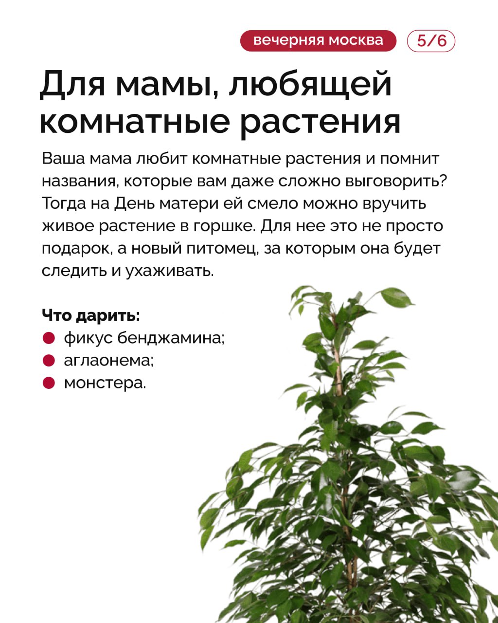 День матери — праздник, когда особенно хочется проявить внимание и заботу День матери — праздник, когда особенно хочется проявить внимание и заботу