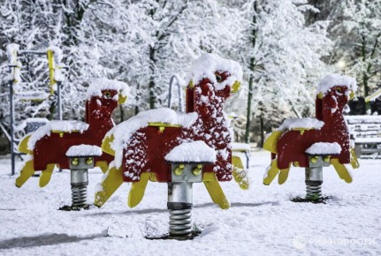 Формирование снежного покрова в Москве ожидается не ранее середины декабря