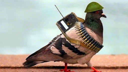 "Панорама" купила The Sun?