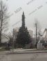 Жители Северного района Москвы обеспокоены внешним видом ёлки, которую установили на 9-й Северной линии
