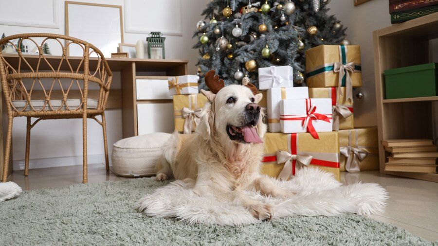 ��� ������ �������� ��� � ���������? ����� ����� ���������, ��� ����������� ��������!