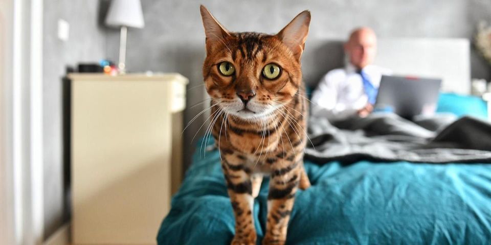 ��������� �������� ���������� ����� ������� ��������� � ��� � ���������� ��� �������� ��������