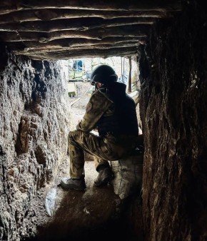  : ,      ,      -    110- 