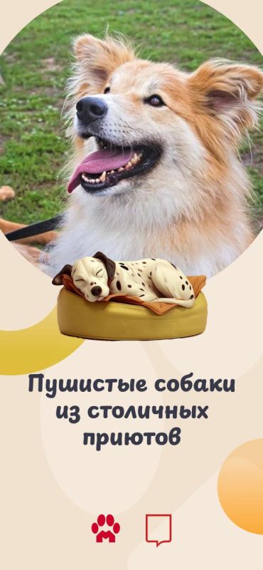 � #������������������� ������������ � ����� �������� �������������� ������� �� ���������� �������