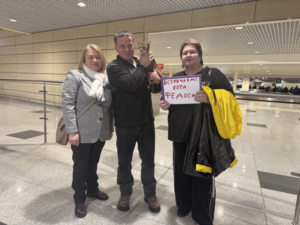 Кота из Москвы по кличке Федос, потерявшегося в поезде неделю назад, нашли Кота из Москвы по кличке Федос, потерявшегося в поезде неделю назад, нашли