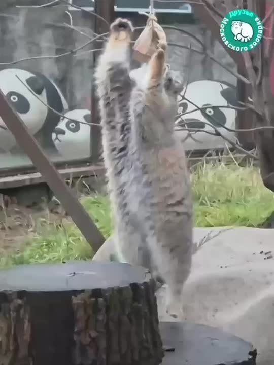 ������ ���� ��������! �� �������� ����� ������