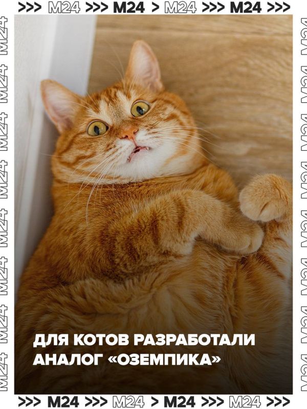 ����� ������� �� ������ ������� � ������ ����������� ������ ��������� ��� �������� � ��� ��������� ����������� ������������