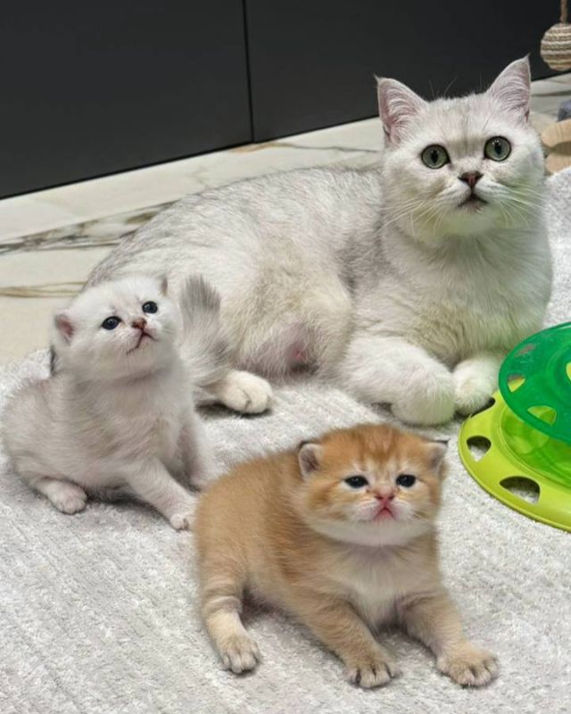 � ������ ���������� ����� ����� � 29-�� ����� � �� ������ ������, �� � ����� ����� ���� �������� �����