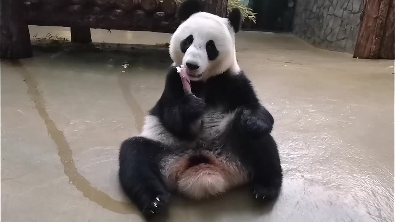 Катюша знает толк в неторопливых субботних завтраках