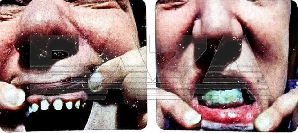 ������� ����� Al dente � ��������� ���������� ��� � ������������ �� 880 �����