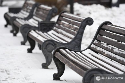 Начало декабря в Москве стало бесснежным всего лишь четвертый раз с начала XXI века, но в начале следующей недели погода вновь попытается перейти на зимние рельсы, рассказал синоптик «Фобоса» Михаил Леус