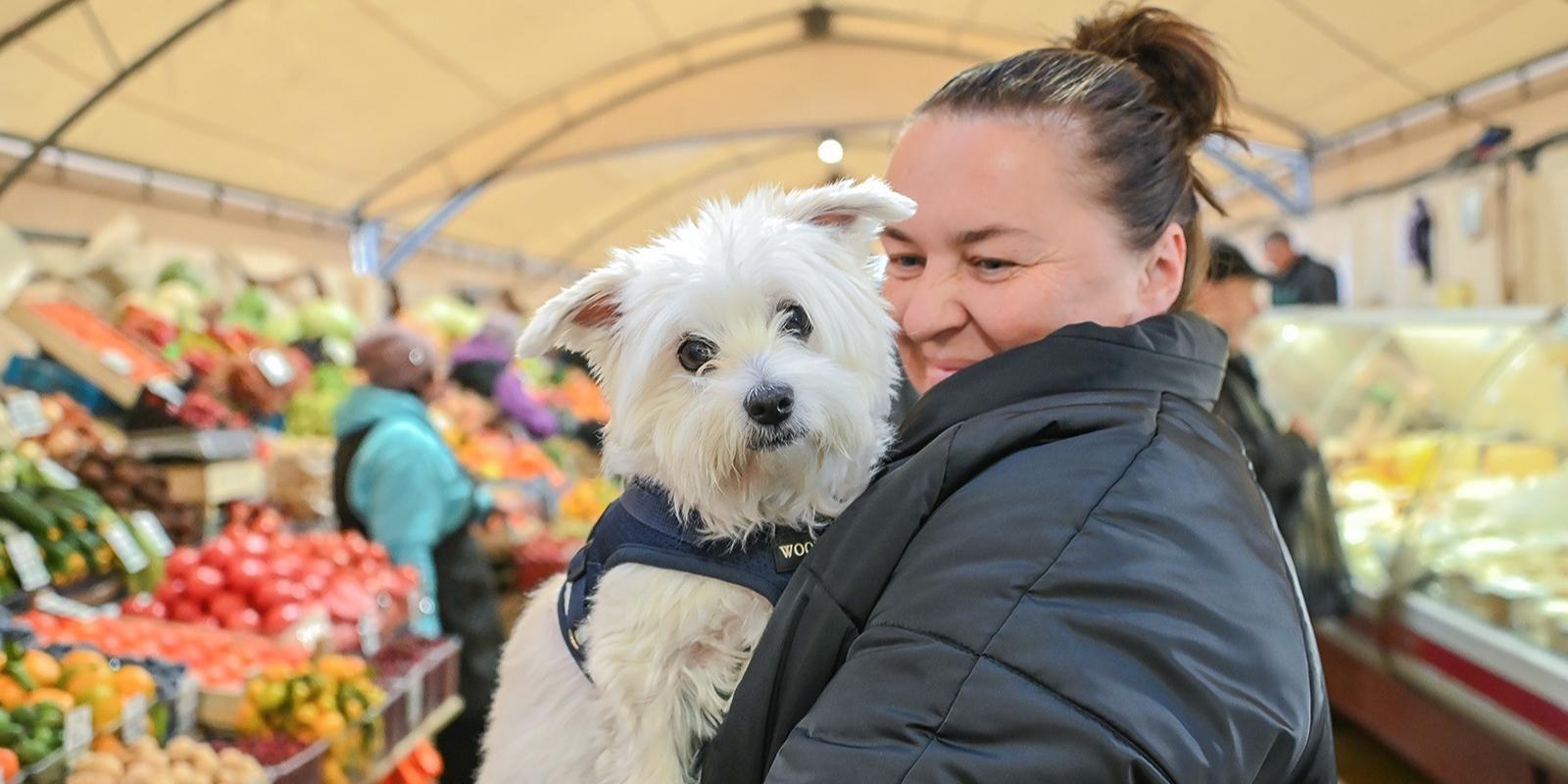 Московские ярмарки и рыбные рынки «Москва — на волне» можно посещать вместе со своими пушистыми друзьями