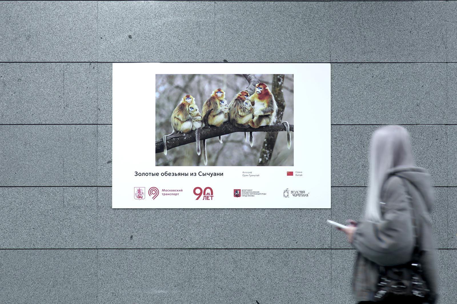 Выставка лучших работ XIX Международного фестиваля дикой природы «Золотая черепаха» открылась в метро Выставка лучших работ XIX Международного фестиваля дикой природы «Золотая черепаха» открылась в метро