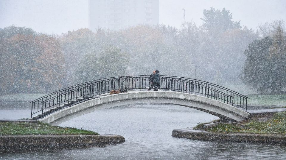 �������� ������ ���� ��������� �� ��������� ������ � � ������ ������� ����, �� � ������� ��� ����� �������, ��������� "������" �������� ��������� �������