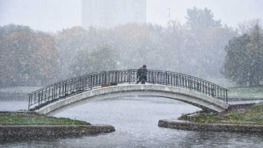Погодные качели ждут москвичей на следующей неделе — в начале выпадет снег, но к пятнице все снова растает, рассказал "Звезде" синоптик Александр Шувалов