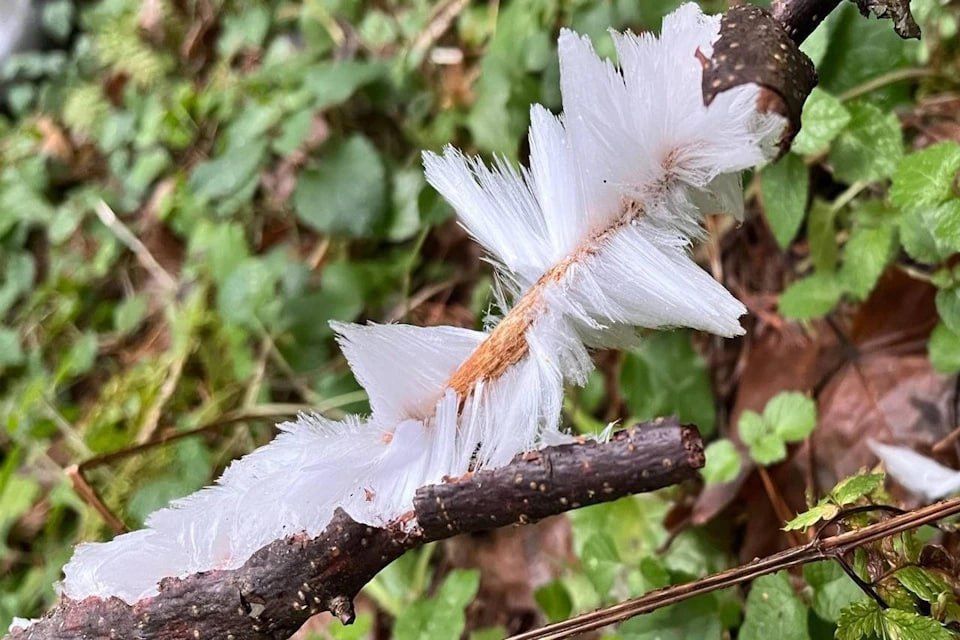 �������� ������� ������� �� �������� � ������������ ����� � ������ ��������� �������