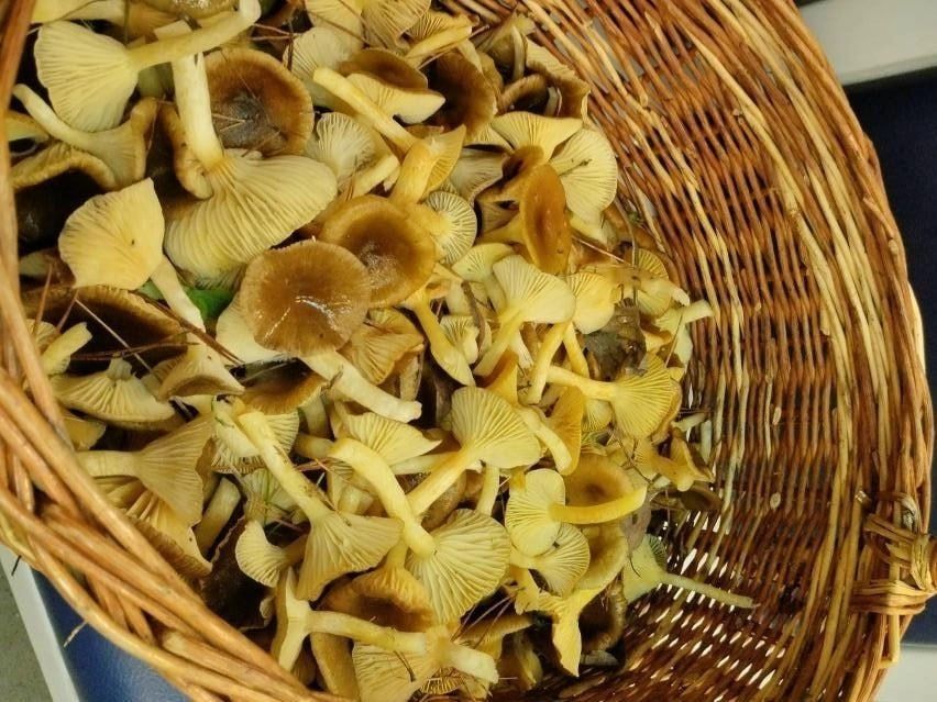 ظ� ������ ���� ���� � �������� ���������� �������� �� ����� ������ ��������