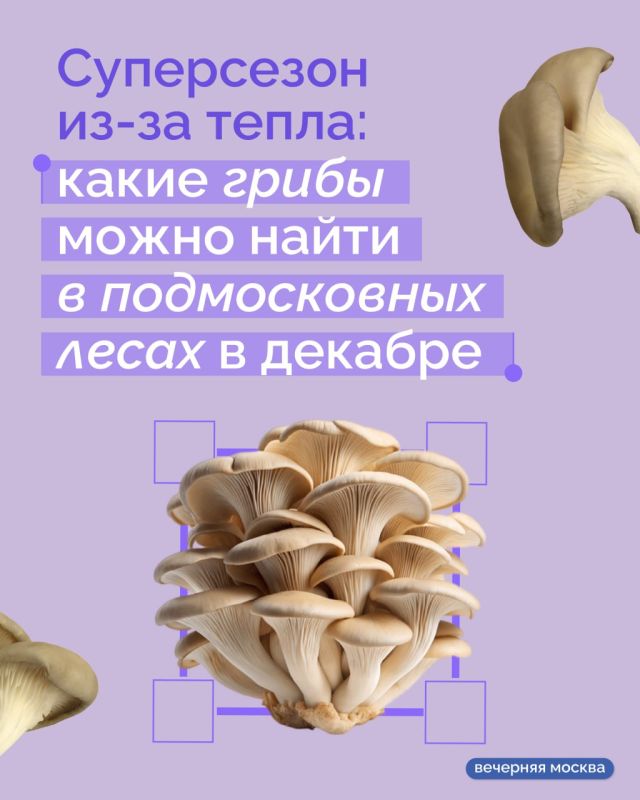 � ��������� ������� ������� ������������ ����� ��-�� ��������� ������ ������