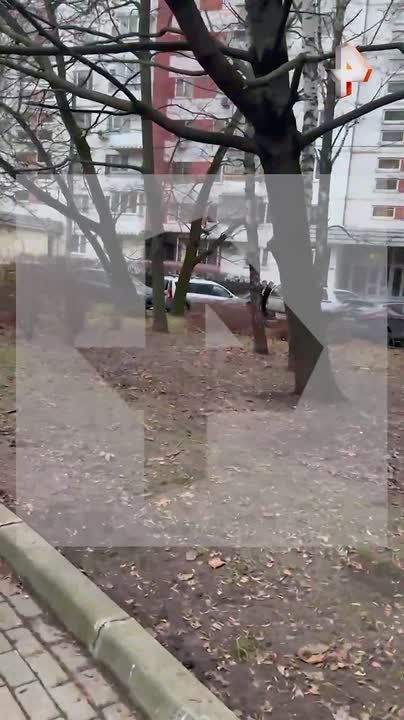 ���� ������������� � �������� �� ������ ������ ��������� �����������