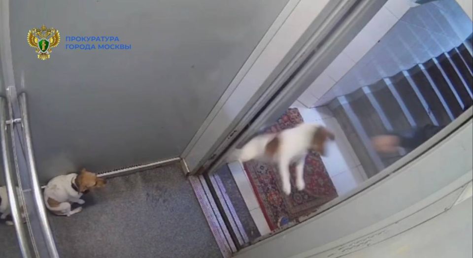 ������ �������, ������� ������ ������ � �������� ������ ���� � ������, ��������� �����, �������� � ��������� �����������