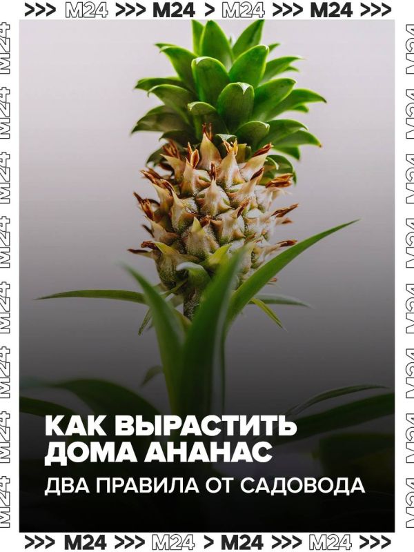 �������� �������� ��������, ����! ������������, ��� ��������� � ����� �������� ���-��� ����� ����������