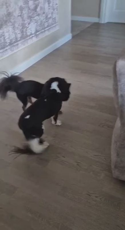 ������ �����... �����������