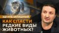"Живая природа" с Эдгардом Запашным и Ниной Ватт