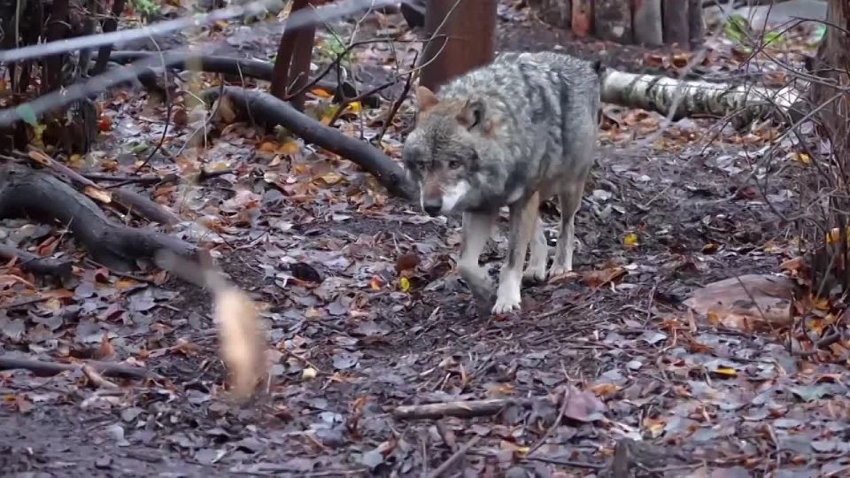 ����� ���� ���� ������ ���� �� ������ ���������� ����������� ��������!