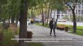 В Москве появились обновленные места для прогулок в разных районах