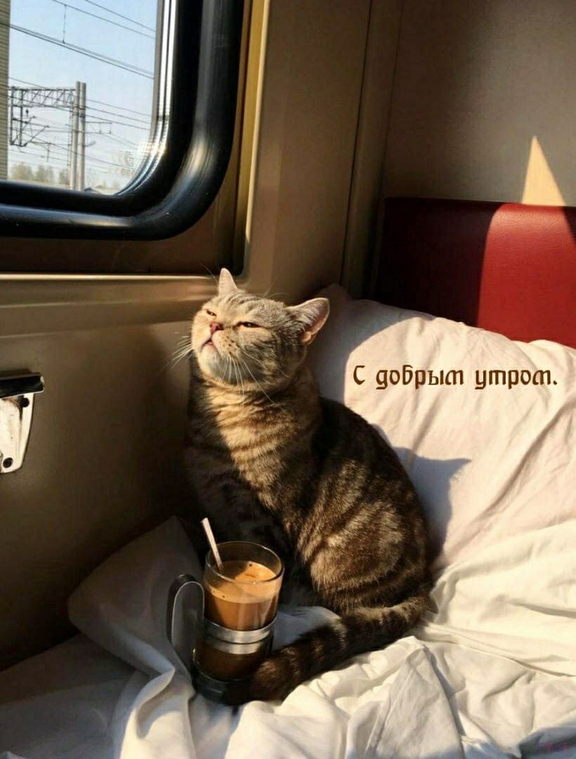 Доброе утро, Москва!. Воскресенье создано для того, чтобы посвятить время действительно приятным вещам