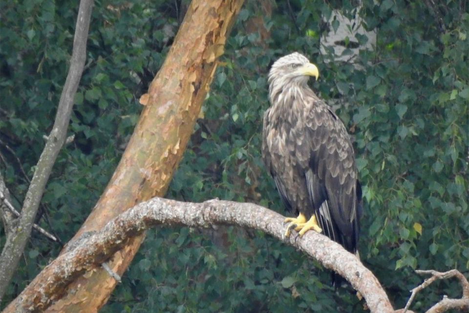 ���� �� ������ ��������� �� �������, �� ������ �������� �������� � ���� ������� ��������� ������ � ������ ��������